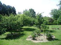 Gardens at River Gardens bed and breakfast