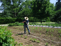 Gardener