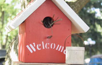 Birdhouse