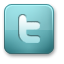 twitter button