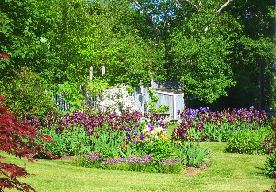 Policies Harbourview Inn Smiths Cove, Nova Scotia