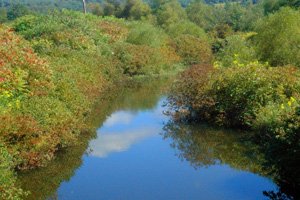 picture of French Creek
