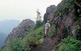 Hiking in the smoky Mountains