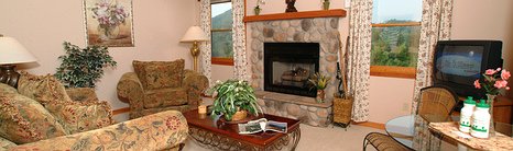 Blackberry Springs Suite Living Room
