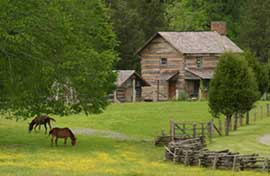 Historic farm in Cades Cove with horses
