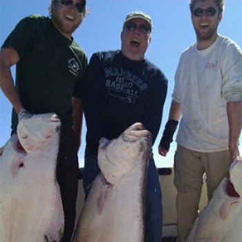 Alaska Halibut fresh huge from Anchor Point