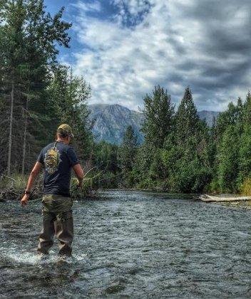 bear viewing Kenai Peninsula Fly out