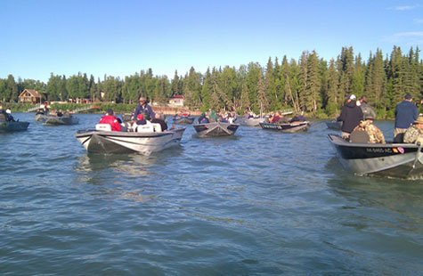 fishing King Salmon on the Kenai, Peak Run 