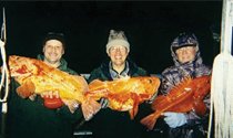 yellow eye fish