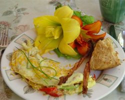 breakfast omelette
