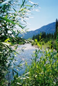 view of clarks fork river and mountains and trees
