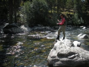 fishing on Hellroaring creek in Yellowstone National Park