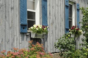 front windows