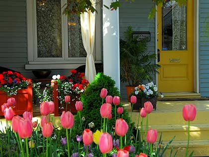 flowers on the porch in Great Lakes