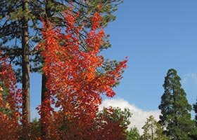 two-night promotion at The North Shore Inn in Crestline, California