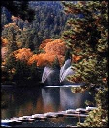 two-night promotion at The North Shore Inn in Crestline, California