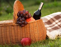 Picnic Lunch Promotion at Back Inn Time