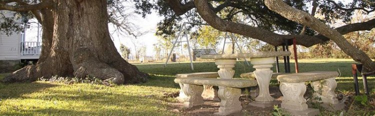 Picnic Area at the House of Atreus