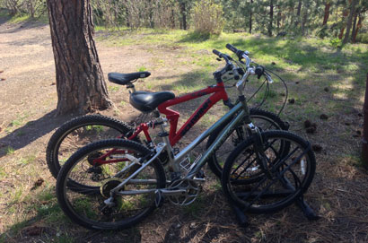 Bicycles at Swan Hill Bed and Breakfast in Polson Montana
