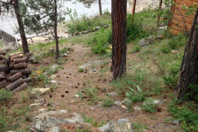 Hiking Trails at Swan Hill Bed and Breakfast in Polson Montana