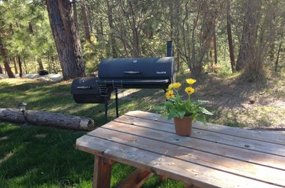 Picnic Tables and Grill at Swan Hill Bed and Breakfast in Polson Montana