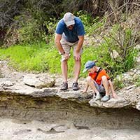 fossils in Glen Rose near the North Texas Area Bed and Breakfast Association