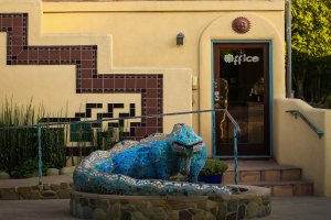 Blue Iguana in Ojai, California