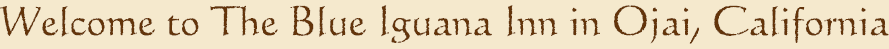 Welcome to The Emerald Iguana Inn in Ojai, California