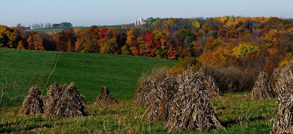 Image result for autumn in wisconsin pictures