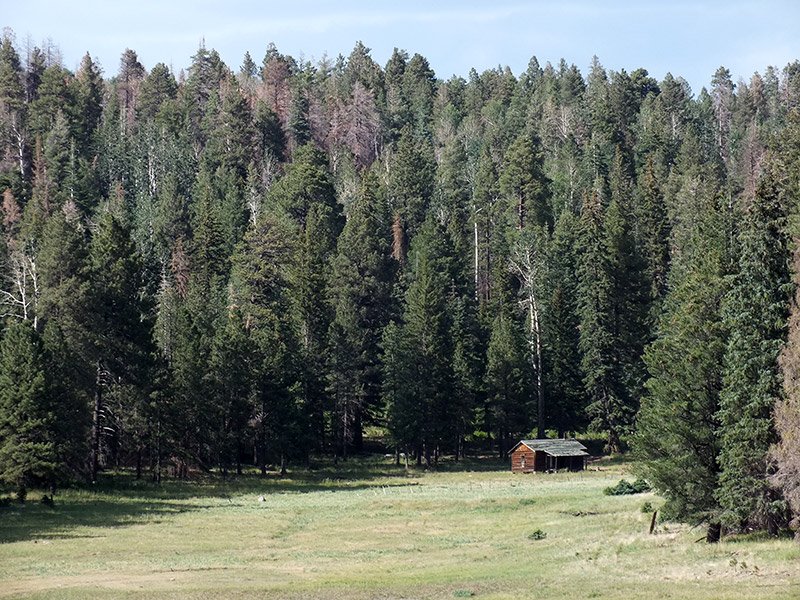 Hannagan Meadow Lodge Photos Lodge rooms and Cabin rentals in Arizona.