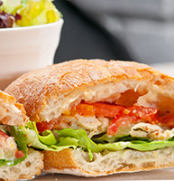 italian ciabatta panini sandwich