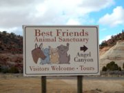 Best Friends Animal Sanctuary in Kanab Utah