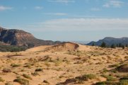 A portion of the Coral Pink Sand Dunes State Park in southwestern Utah.