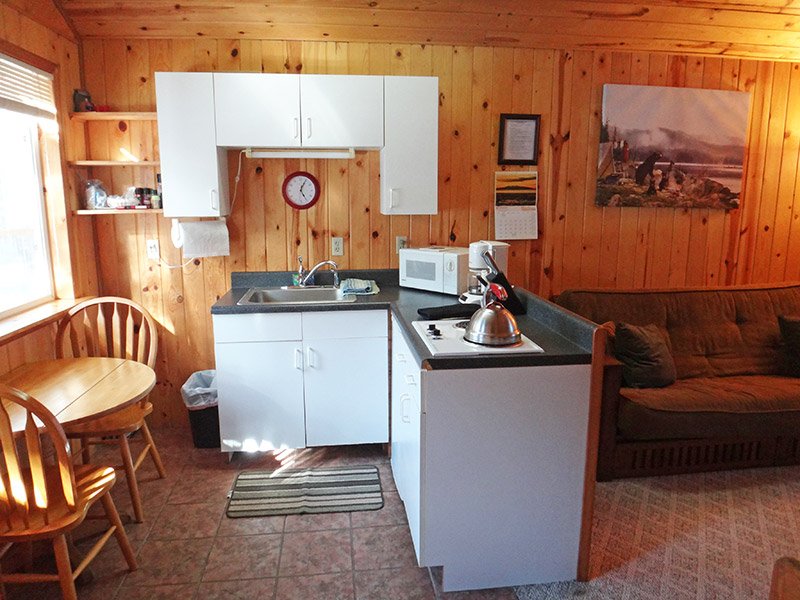 Black Bear Cabin 1 Bears Den Cabins Cordova, Alaska Vacation Rentals