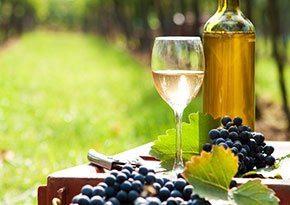 Cayuga Wine Trail near City Lights Inn in Ithaca, New York