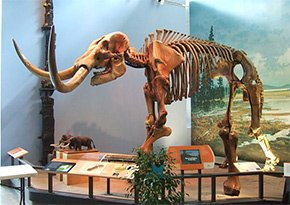 Museum of the Earth near City Lights Inn in Ithaca, New York Photo by jayu