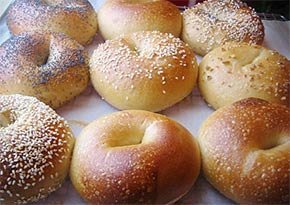 Collegetown Bagels near City Lights Inn in Ithaca, New York Photo by Ezra Wolfe