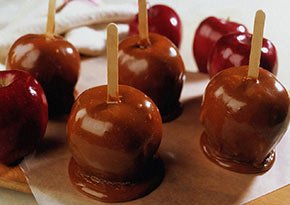 Apple Harvest Festival near City Lights Inn in Ithaca, New York