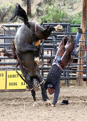gardiner rodeo yellowstone