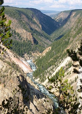 yellowstone canyon yellowstone national park yellowstone basin inn