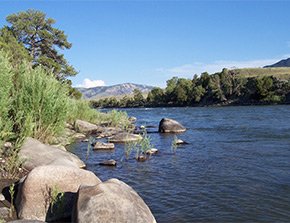 yellowstone river