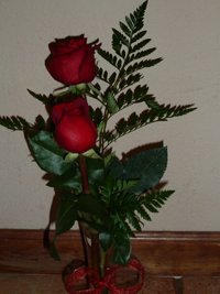 2 roses in a vase
