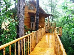 Lofty Lookout Treehouse