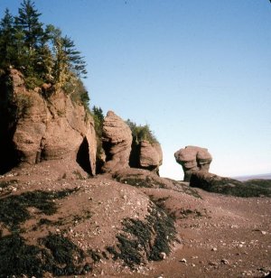 bay of fundy rock foundations