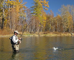 Fishing in Wilson Lake