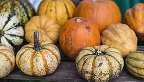 Pumpkins