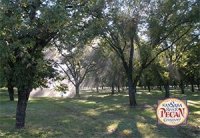The Great San Saba River Pecan Company, Inc.