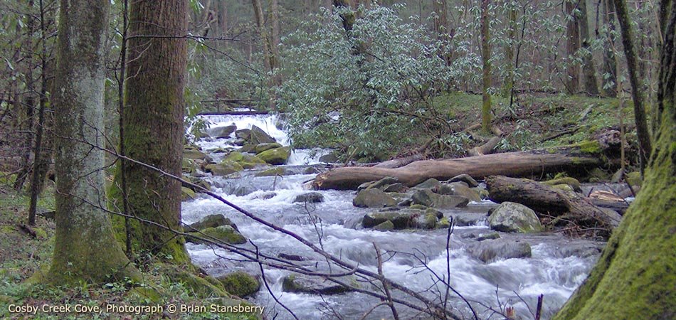 Things To Do In Sevierville Tn Smoky Mountains Attractions