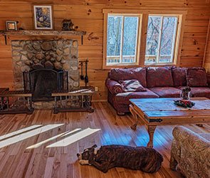 Dog lying on wood floor