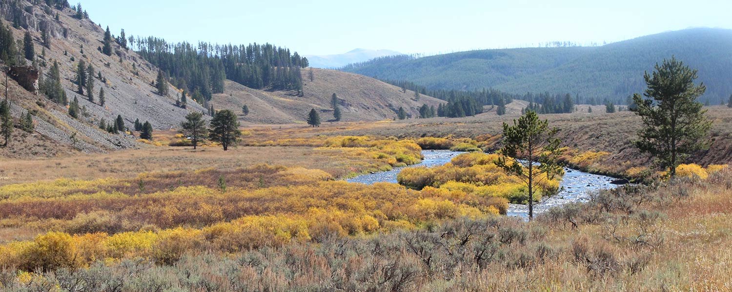 The Historic Madison Hotel in West Yellowstone, Montana